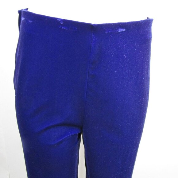 VTG VELOUR GOTH Whimsigoth Steampunk Witchy Boho Grape Purple Pull On Pants M - Picture 2 of 10